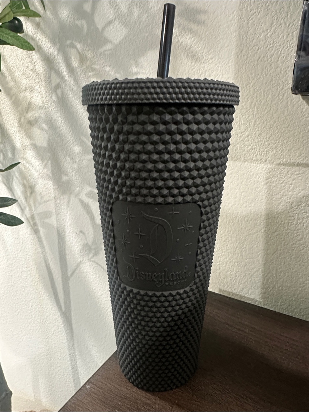 Disneyland Starbucks Matte Black Studded Tumbler with Straw